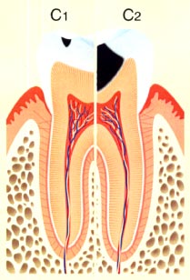 歯科口腔外科