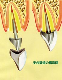 歯科口腔外科